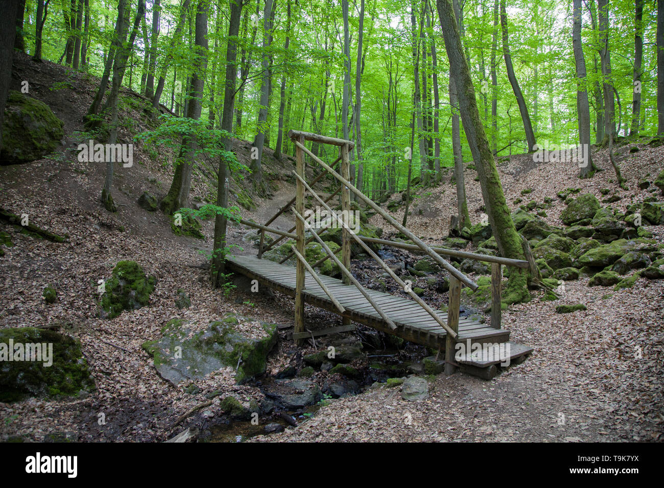 Holzbrucke bridge hi-res stock photography and images - Alamy