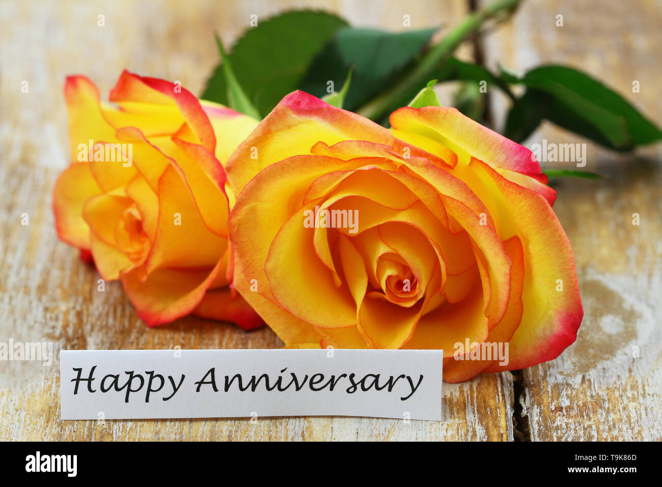 Happy Anniversary Card With Two Orange Roses On Rustic Wooden