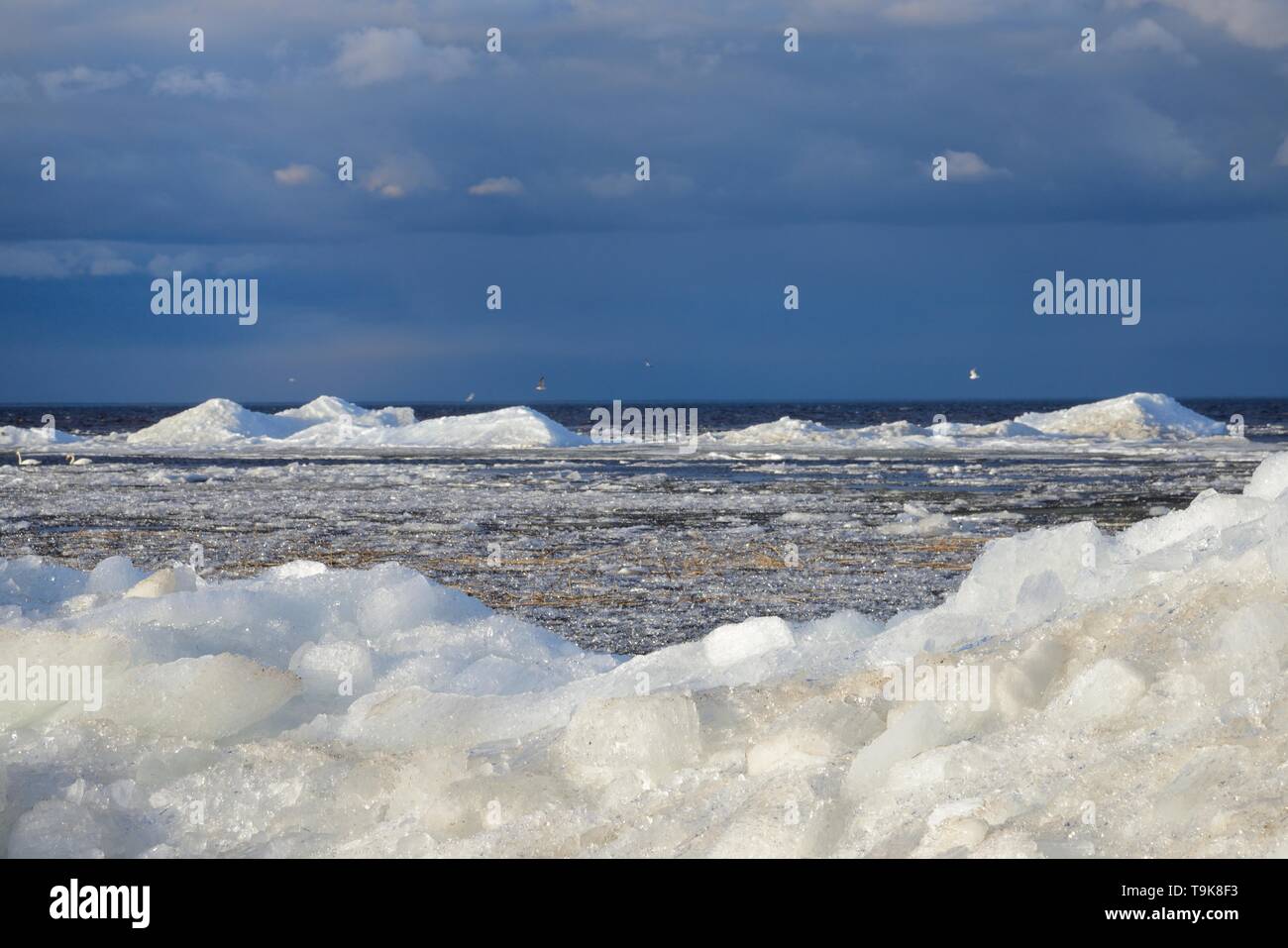 Wind-blown lake ice piled up near the shore of Lake Peipsi in spring, breaking up as it thaws, Estonia, April. Stock Photo