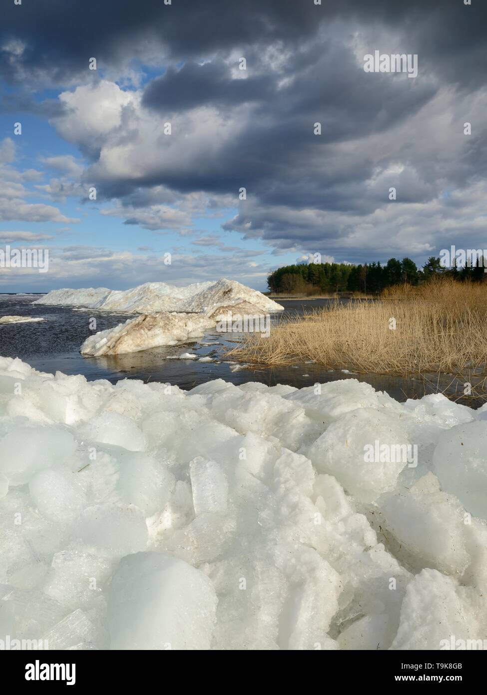 Wind-blown lake ice piled up near the shore of Lake Peipsi in spring, Estonia, April. Stock Photo