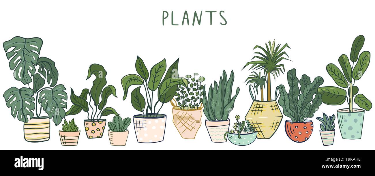 Set of different house plants Stock Vector