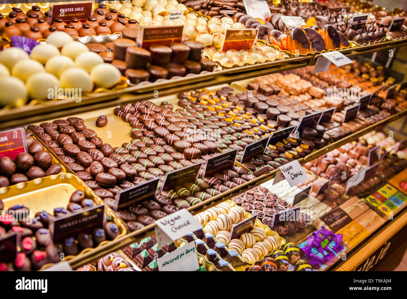 Variety of chocolate pralines Stock Photo