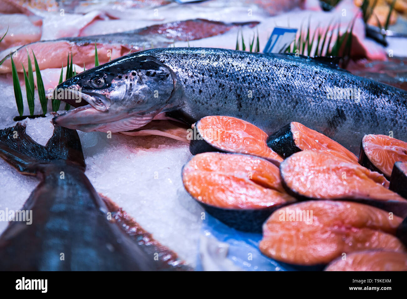 Fresh fish display on English Market for sale. Cork/Ireland Stock Photo