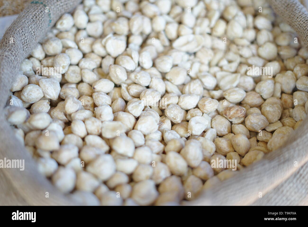 Kemiri or Candlenut for sale at Traditional market in Indonesia Stock