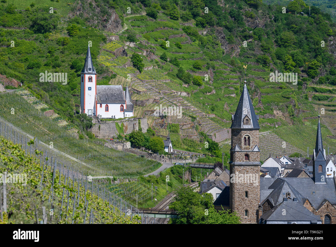 churches and vineyards at Hatzenport, Mosel Valley, Germany Stock Photo