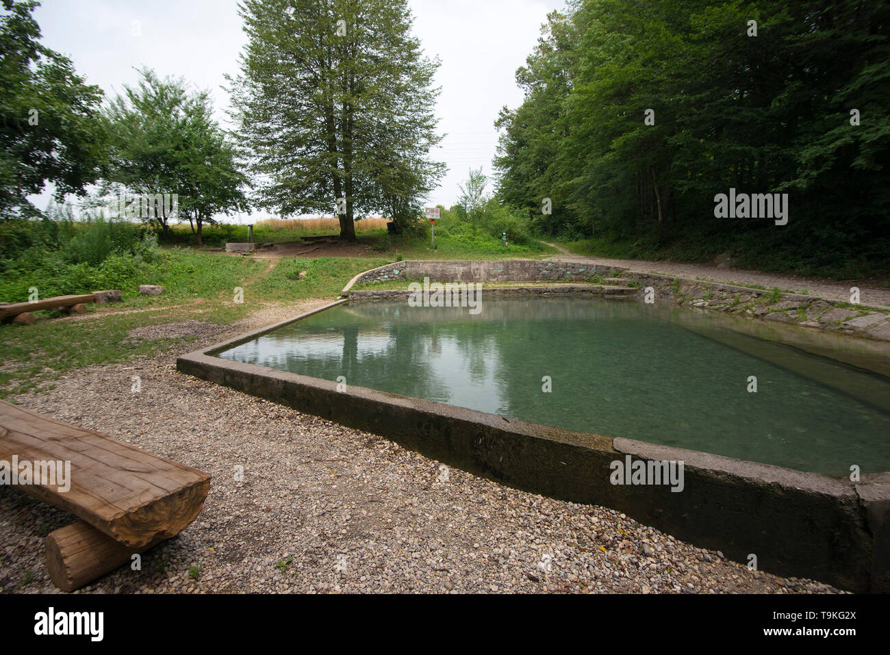 little natural thermal spring of water Stock Photo - Alamy