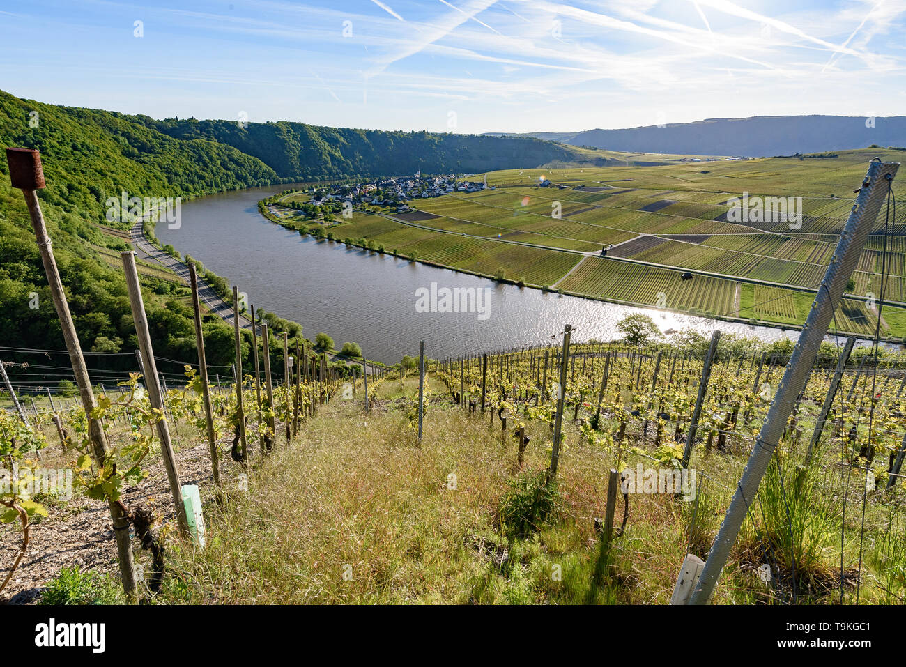 Mosel loop at Minheim, Mosel Valley, Germany Stock Photo