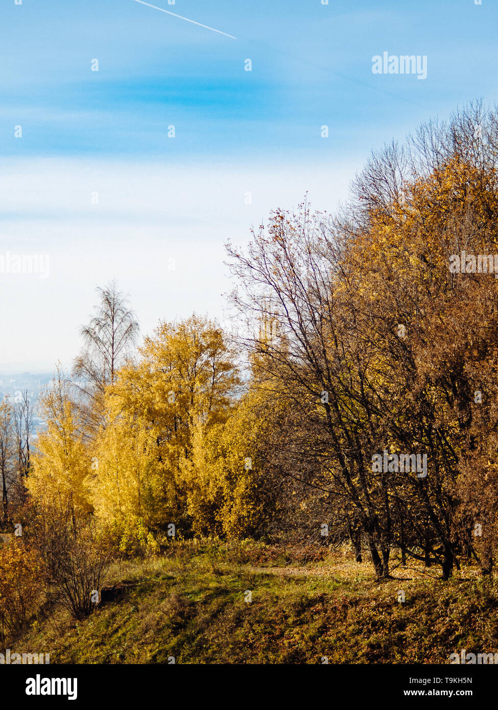 Autumn park. Beautiful romantic alley in park with colorful trees and ...