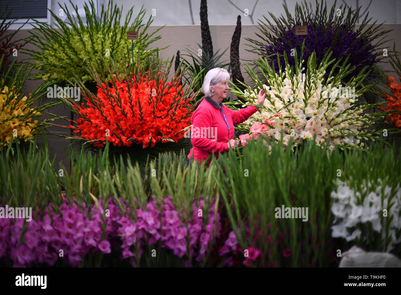Finishing touches are applied to a display during preparations for the RHS Chelsea Flower Show at the Royal Hospital Chelsea, London. Stock Photo