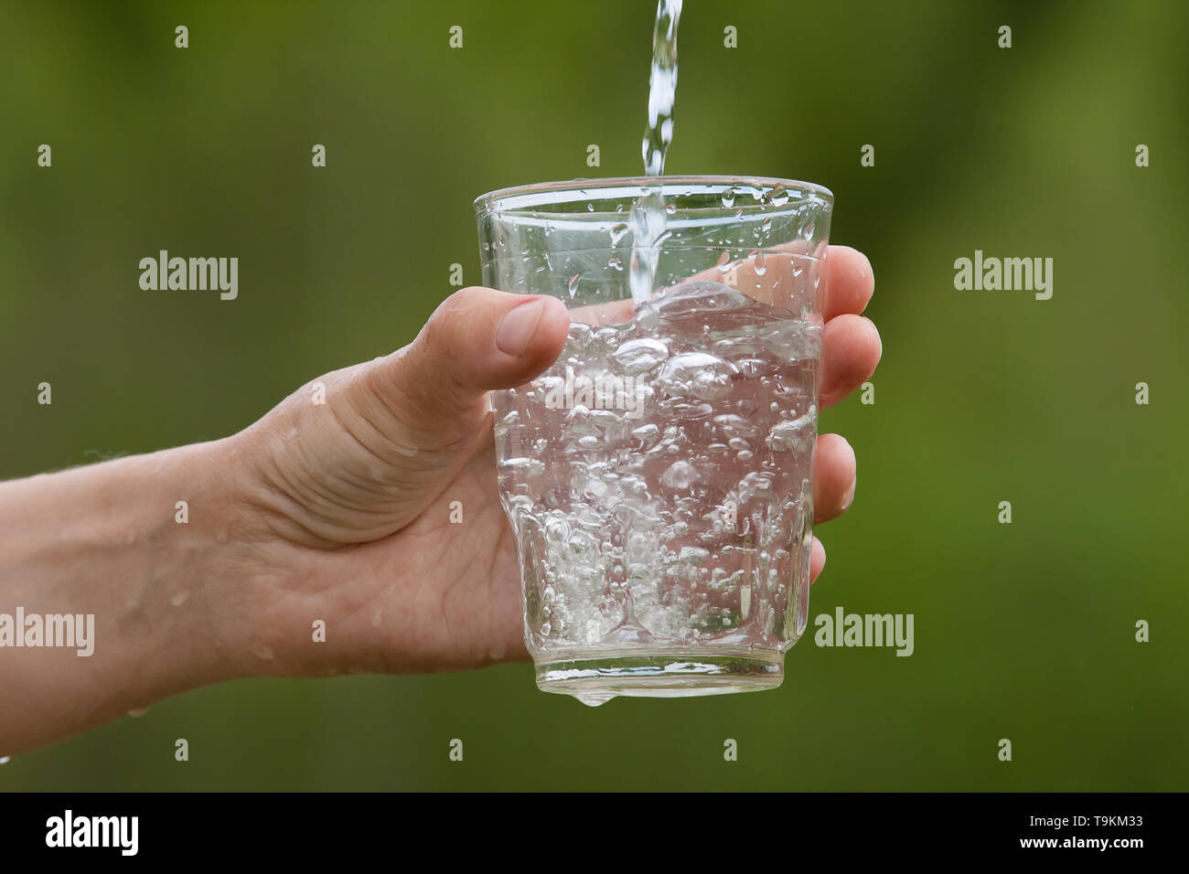 Названия факультативов. Механизмы мочеобразования физиология. Облигатная и факультативная реабсорбция. Петля генле механизм. Факультативная вода.