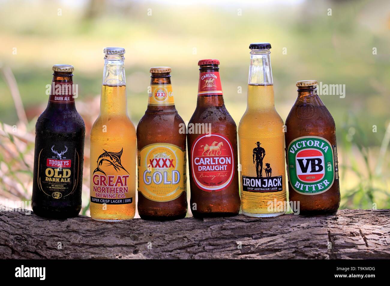 Different Australian beer brands, six bottles of beer from different  breweries on tree trunk, Tooheys old Dark Ale, Great Northern Brewing Co.,  XXXX Stock Photo - Alamy