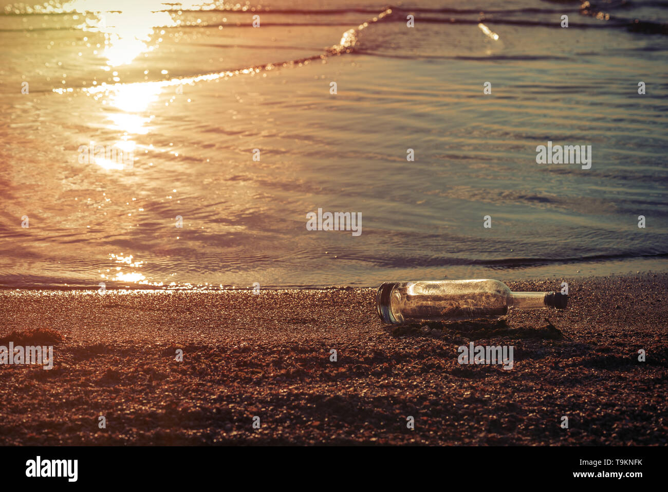 Message in a corked bottle on the shore, hope of salvation Stock Photo