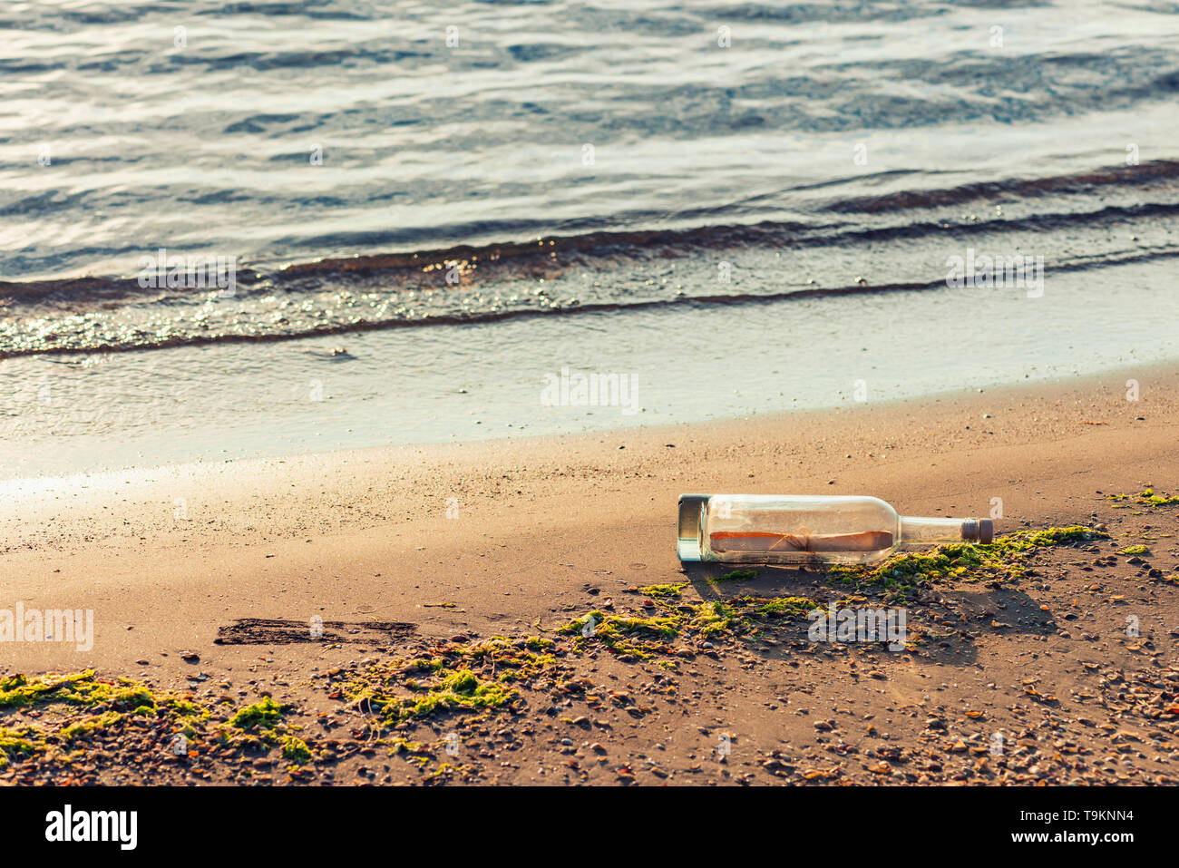 Message in a corked bottle on the shore, hope of salvation Stock Photo