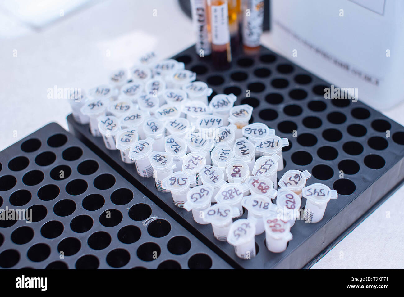 Laboratory containers with analyzes for medical research Stock Photo ...