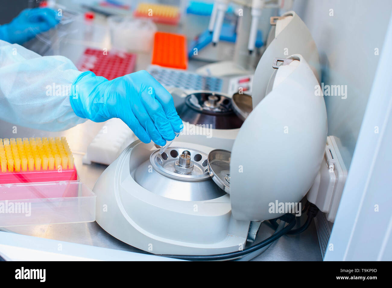 Dna test in the lab. a laboratory technician with a dispenser in his hands is conducting dna analysis in a sterile laboratory behind glass. Stock Photo