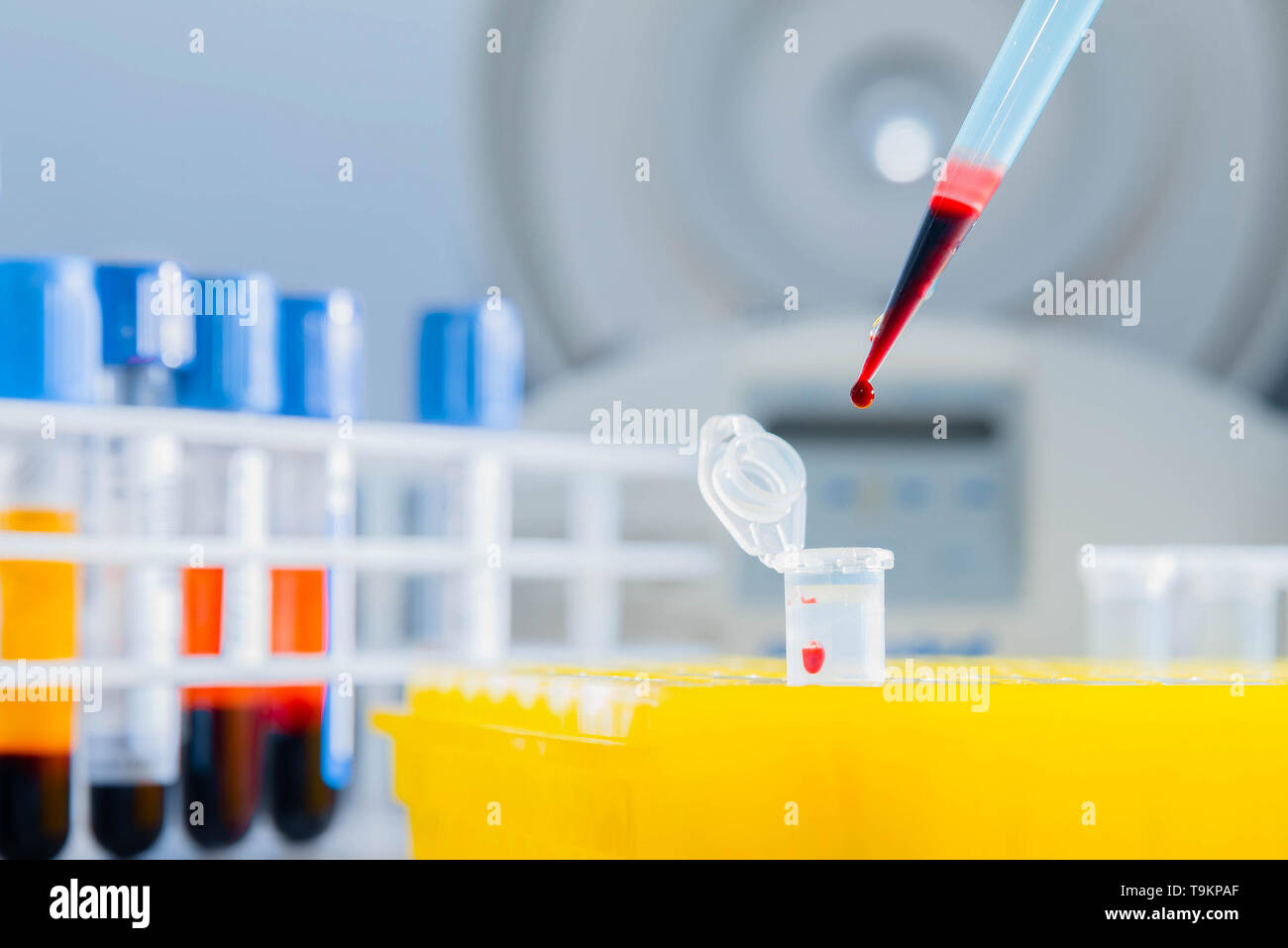 Dna test in the lab. Dispenser with blood and test tubes close-up. A drop of blood. Stock Photo