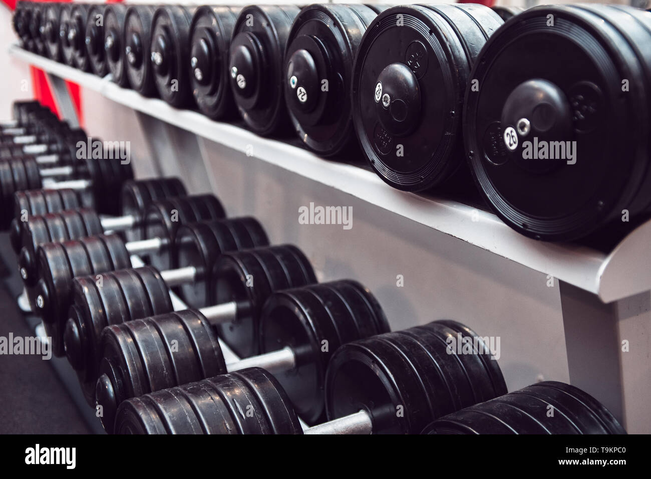 Gym and dumbbell weight training equipment on sport. Healthy life and gym exercise equipments and sports concept. Сopy space. Stock Photo