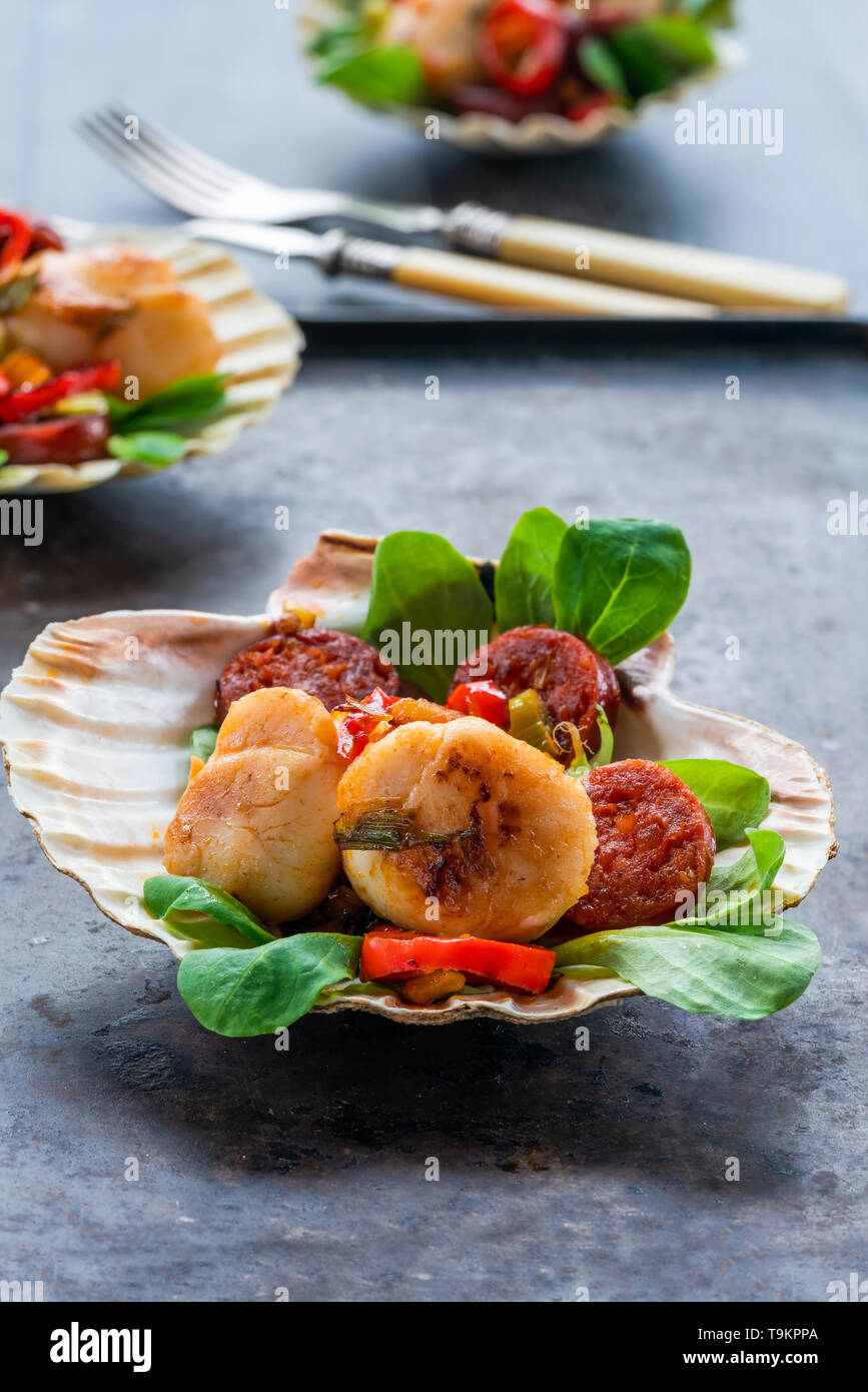 Spiced scallops with chorizo and chili in shells Stock Photo Alamy