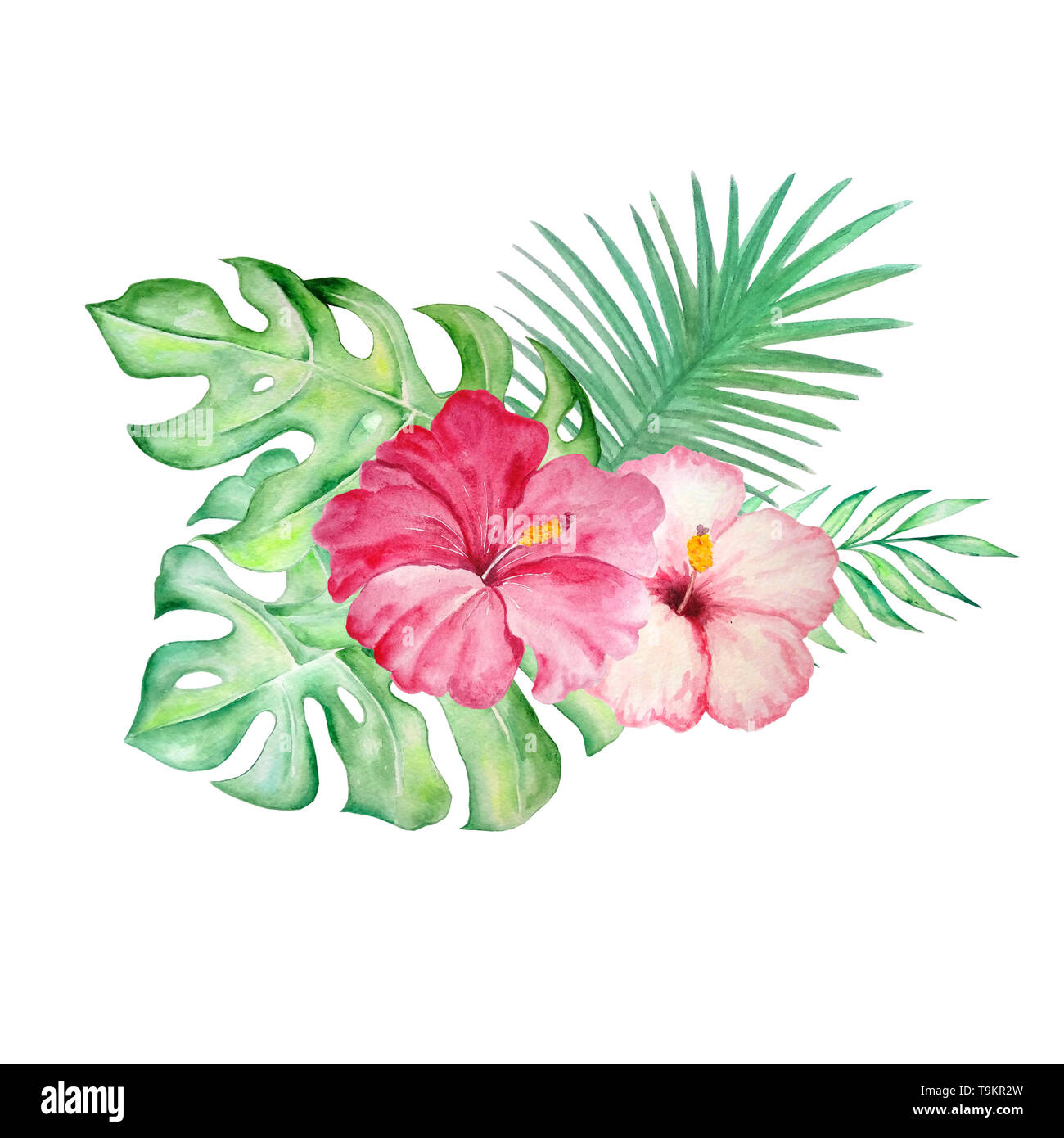 Watercolor Bright Tropical Flower Hibiscus With Green Leaves Stock Photo Alamy