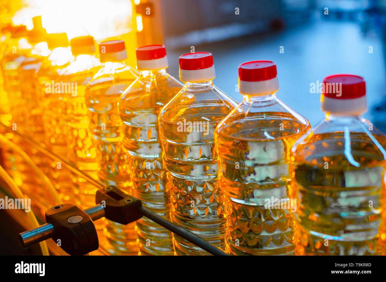 Sunflower oil. Factory line of production and filling of refined oil from sunflower seeds