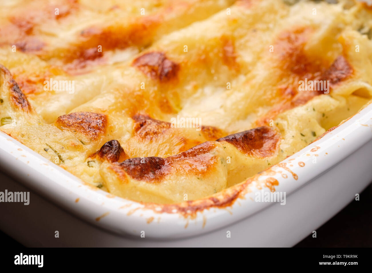 Pasta Cannelloni filled and gratinated with cheese as close-up Stock Photo