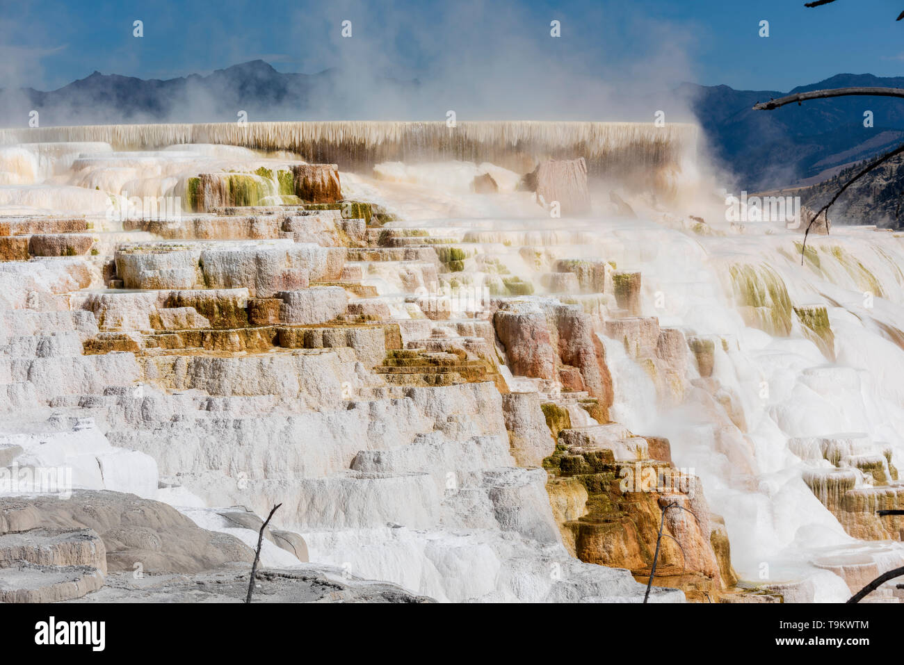 mammoth hot springs, yellowstone national park Stock Photo