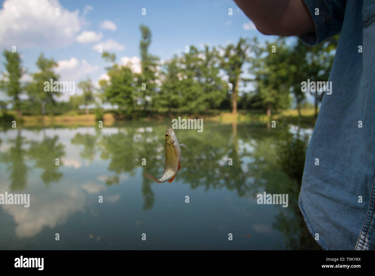 Learning How To Fish