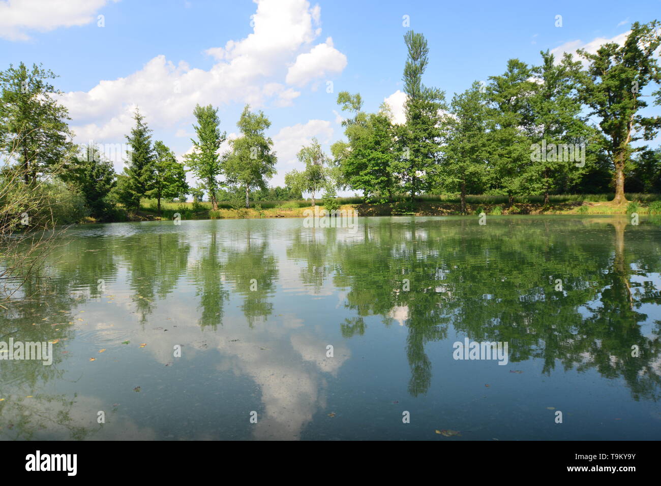 learning how to fish Stock Photo - Alamy
