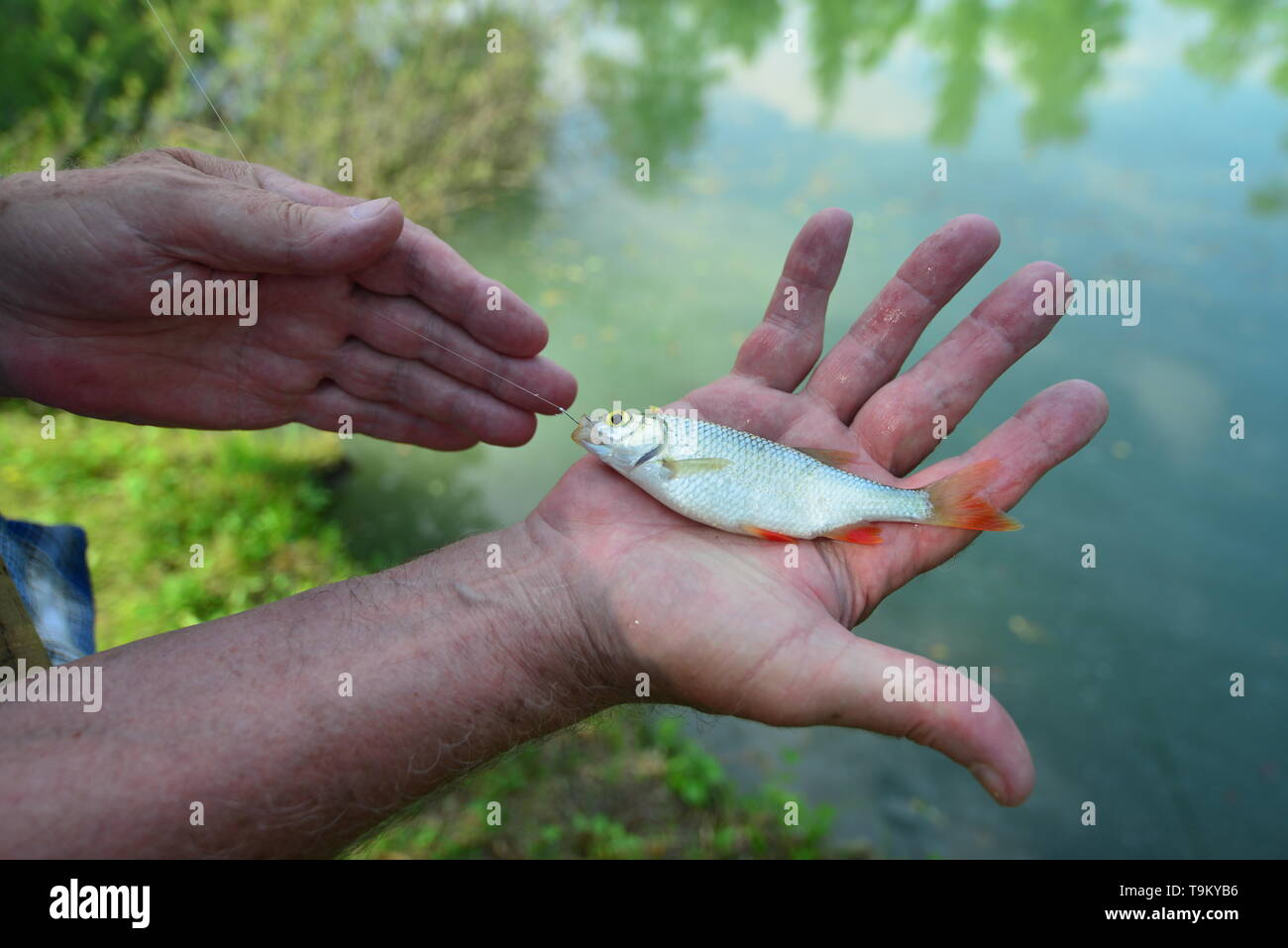 learning how to fish Stock Photo - Alamy