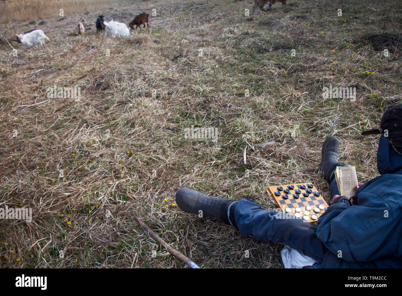 An old man in messy clothes sits on a hill playing chess, grazing a ...