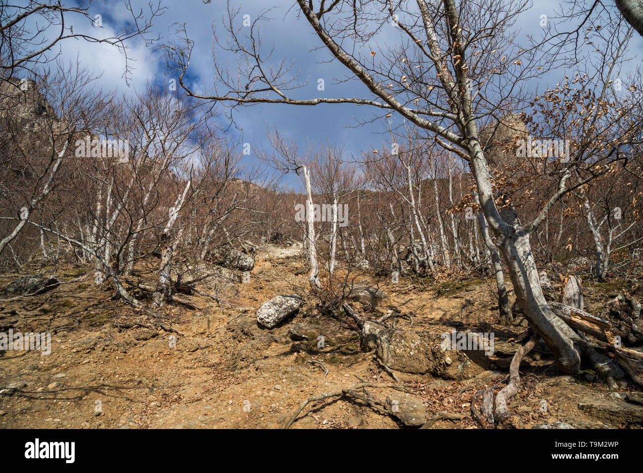 Demerdji, Republic of Crimea - April 1, 2019: Valley of ghosts in the mountain range Demerdzhi near Alushta on the Crimean peninsula Stock Photo