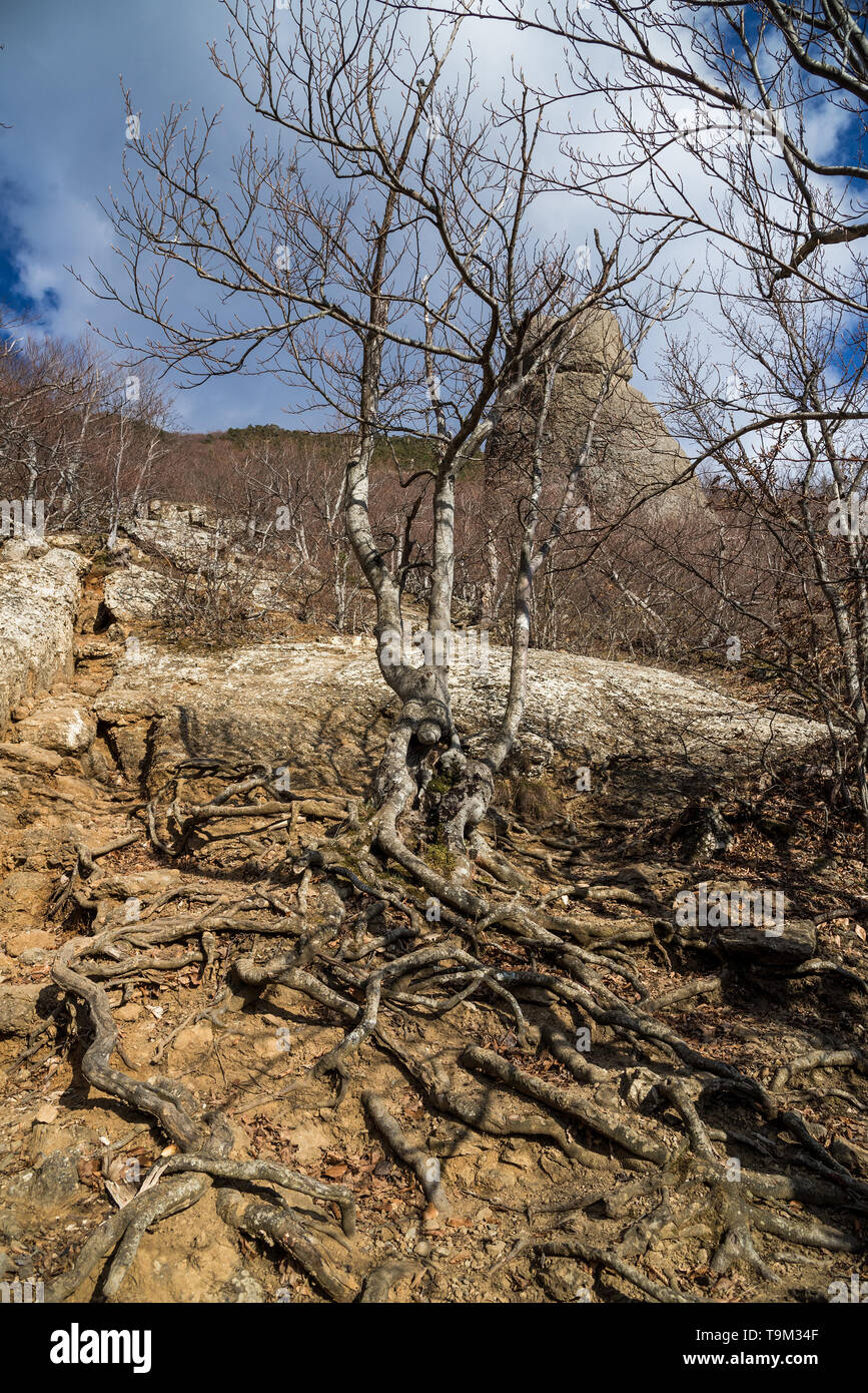 Demerdji, Republic of Crimea - April 1, 2019: Valley of ghosts in the mountain range Demerdzhi near Alushta on the Crimean peninsula Stock Photo