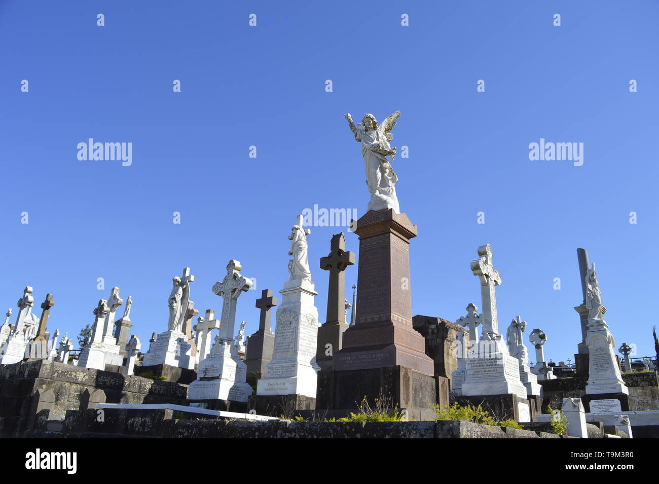 Waverley Cemetery Stock Photo