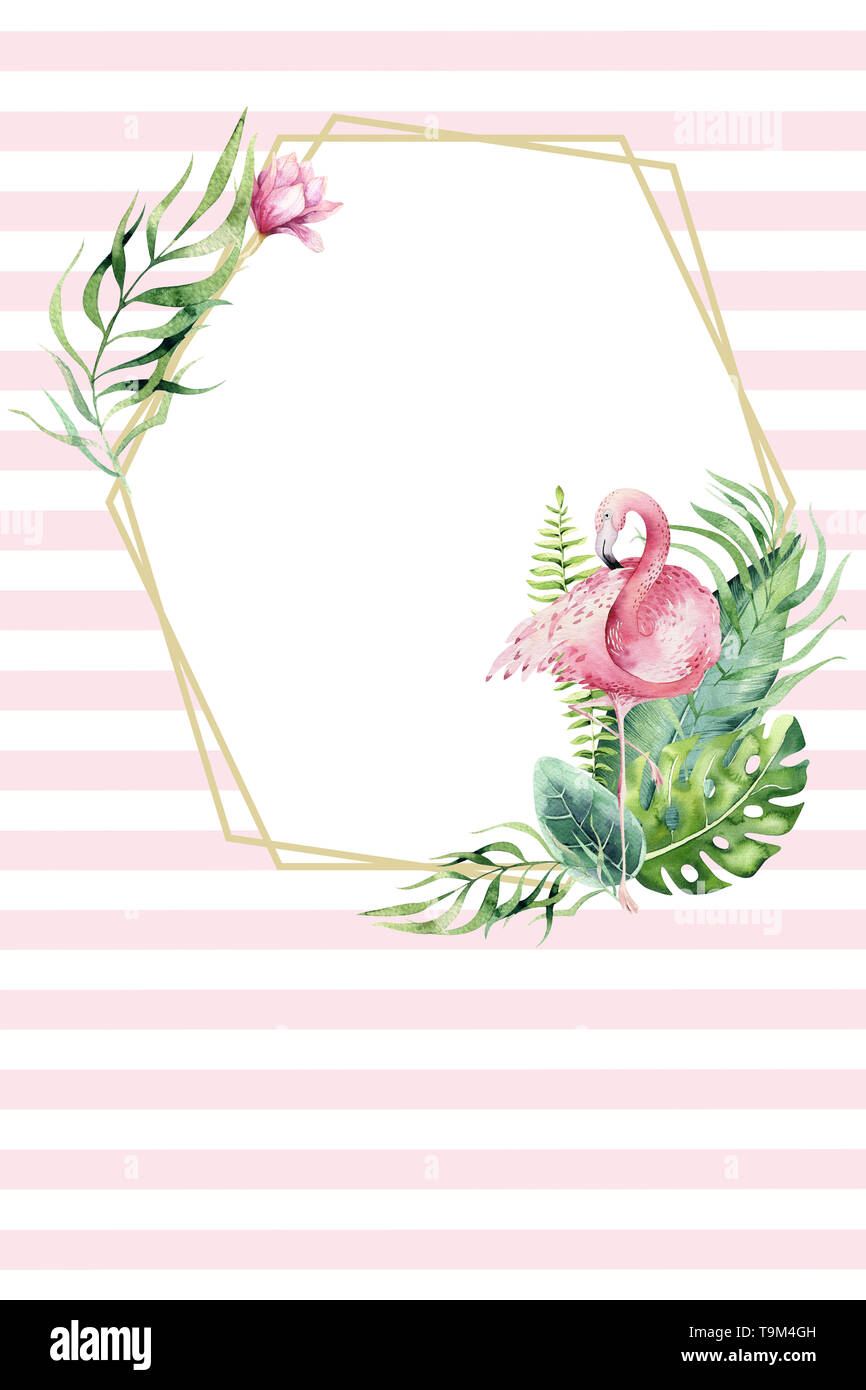 Download Hand Drawn Watercolor Tropical Gold Florariums With Flamingo Exotic Florarium Frame Illustrations For Text Jungle Backgraund Perfect For Wedding Stock Photo Alamy