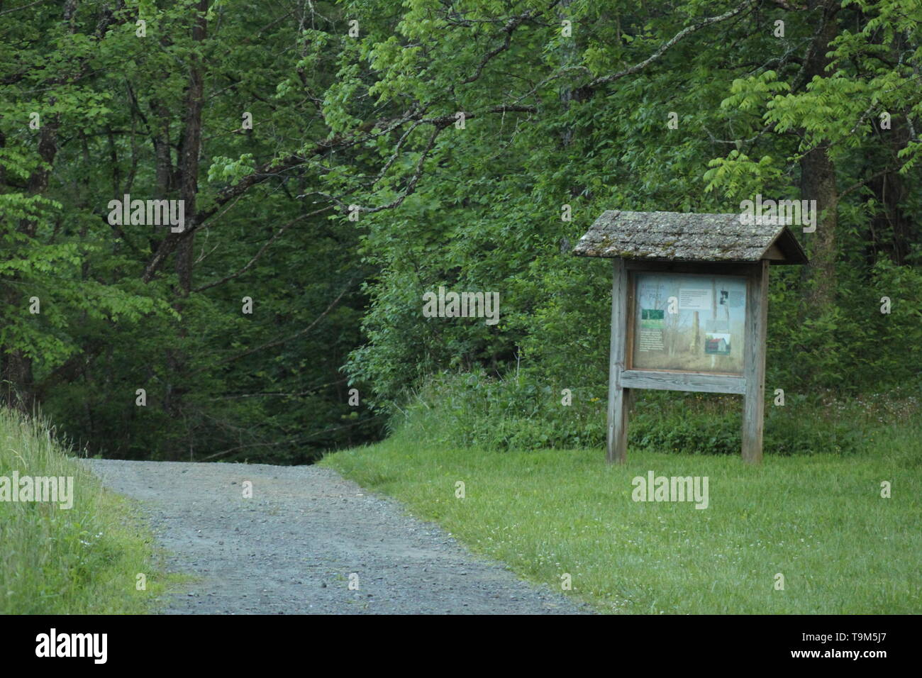 A Trail at New River State Park Wagoner Access, NC Stock Photo Alamy