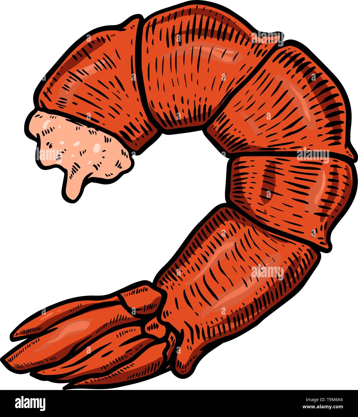 Shrimp tail meat illustration. Design element for poster, banner, card,  menu. Vector illustration Stock Vector Image & Art - Alamy