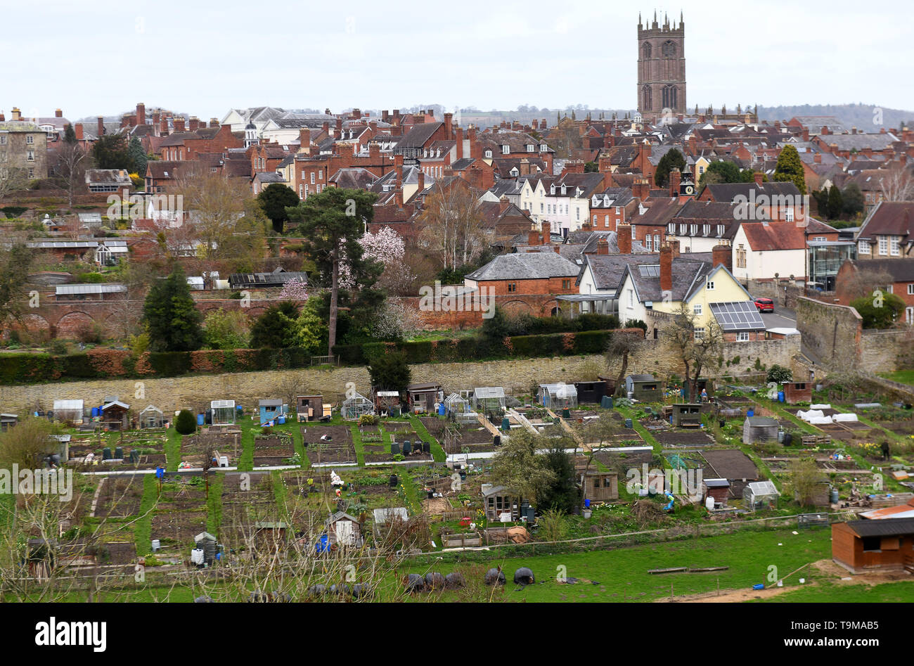 Garden allotments at Ludlow in Shropshire Britain Uk Stock Photo