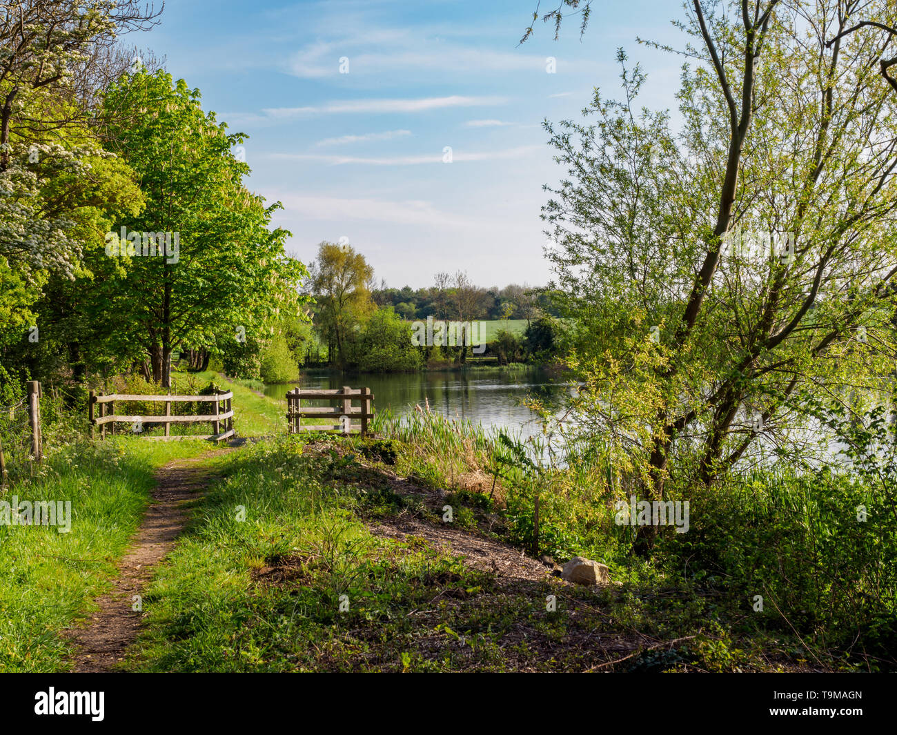 Lakeside path leading to fence and woodland at Culverthorpe Lake near Sleaford in Lincolnshire Stock Photo