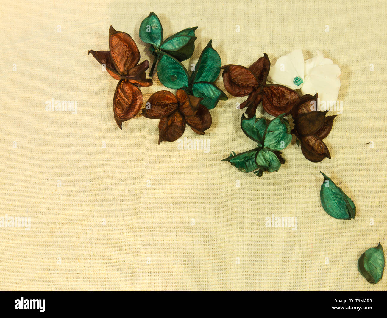 Dry herbal flower piece on white background Stock Photo