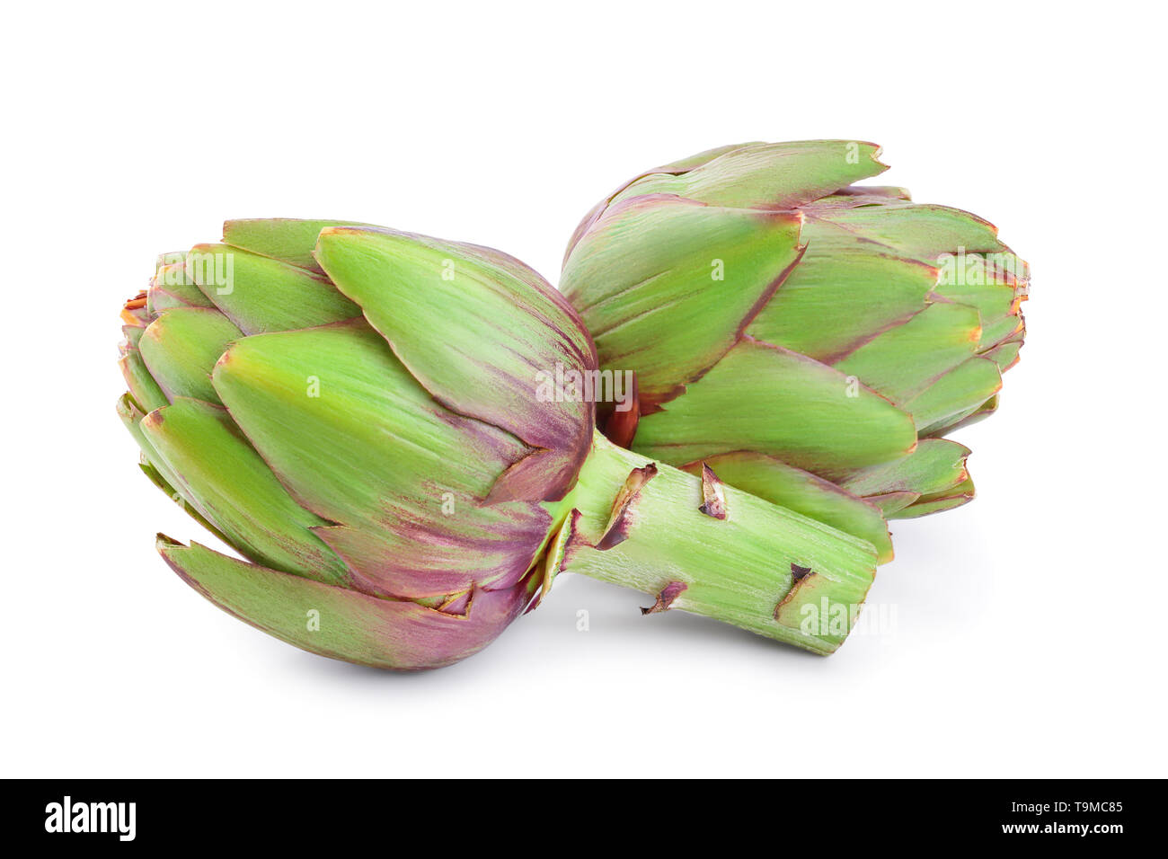 Fresh Artichokes isolated on white background closeup Stock Photo