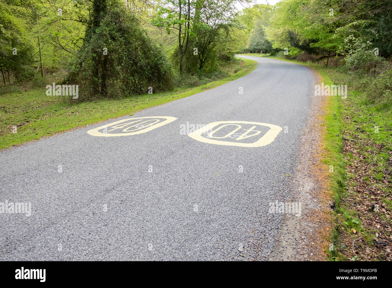 Old 40 mph speed limit signs painted on the road in the New Forest, Hampshire, England, UK Stock Photo