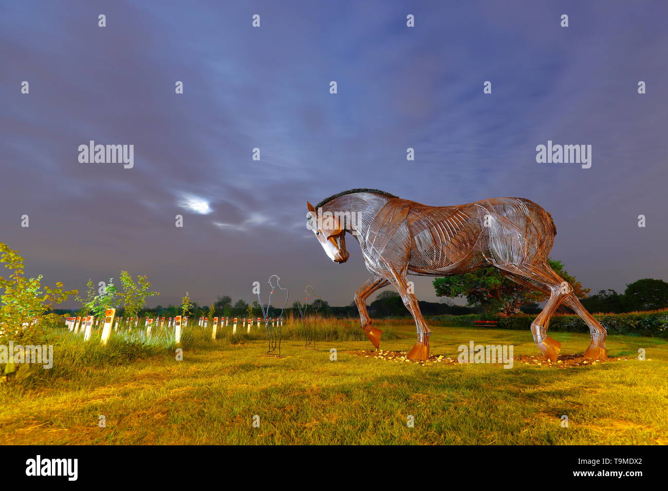 War Horse sculpture at Mill Pond Meadow in Featherstone, West Yorkshire is a memorial plantation . Stock Photo
