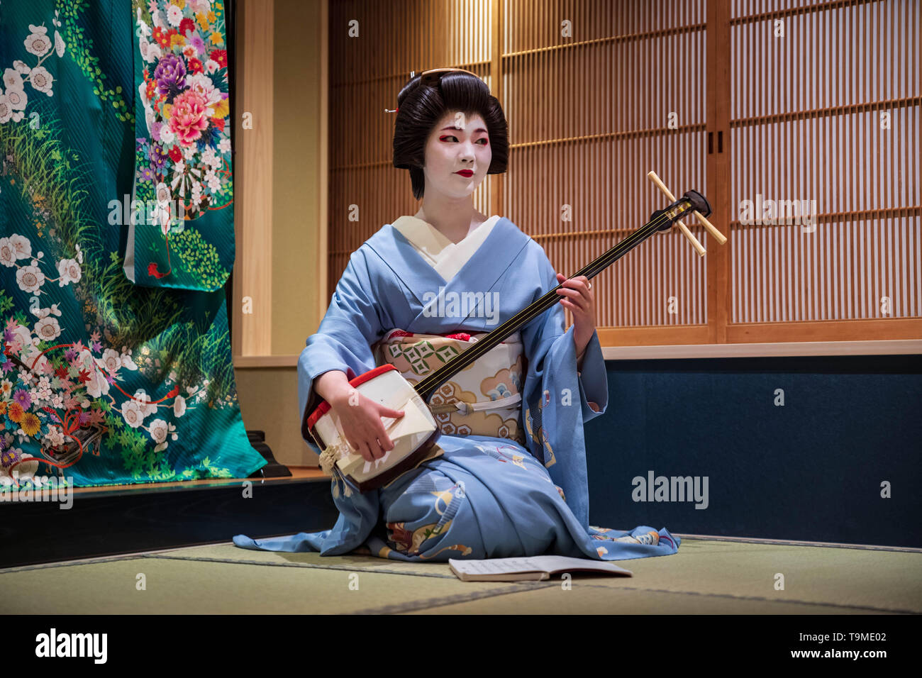 Japanese geisha in blue kimono performs song on shamisen, a traditional instrument Stock Photo