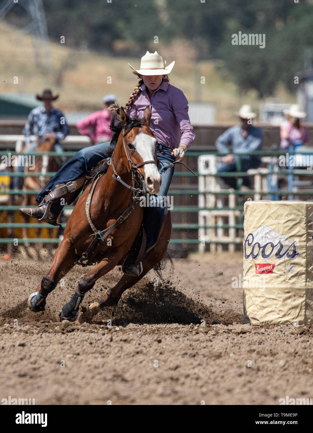 Rodeo action at the Cottonwood Rodeo in Cottonwood, California Stock