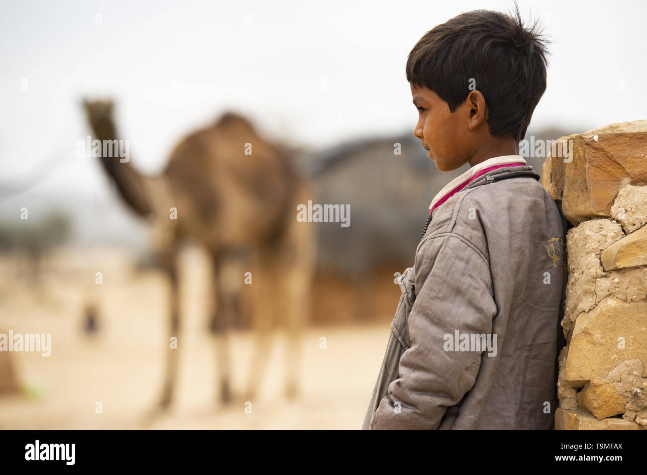 A child is leaning against a wall while a camel is in the background. Stock Photo