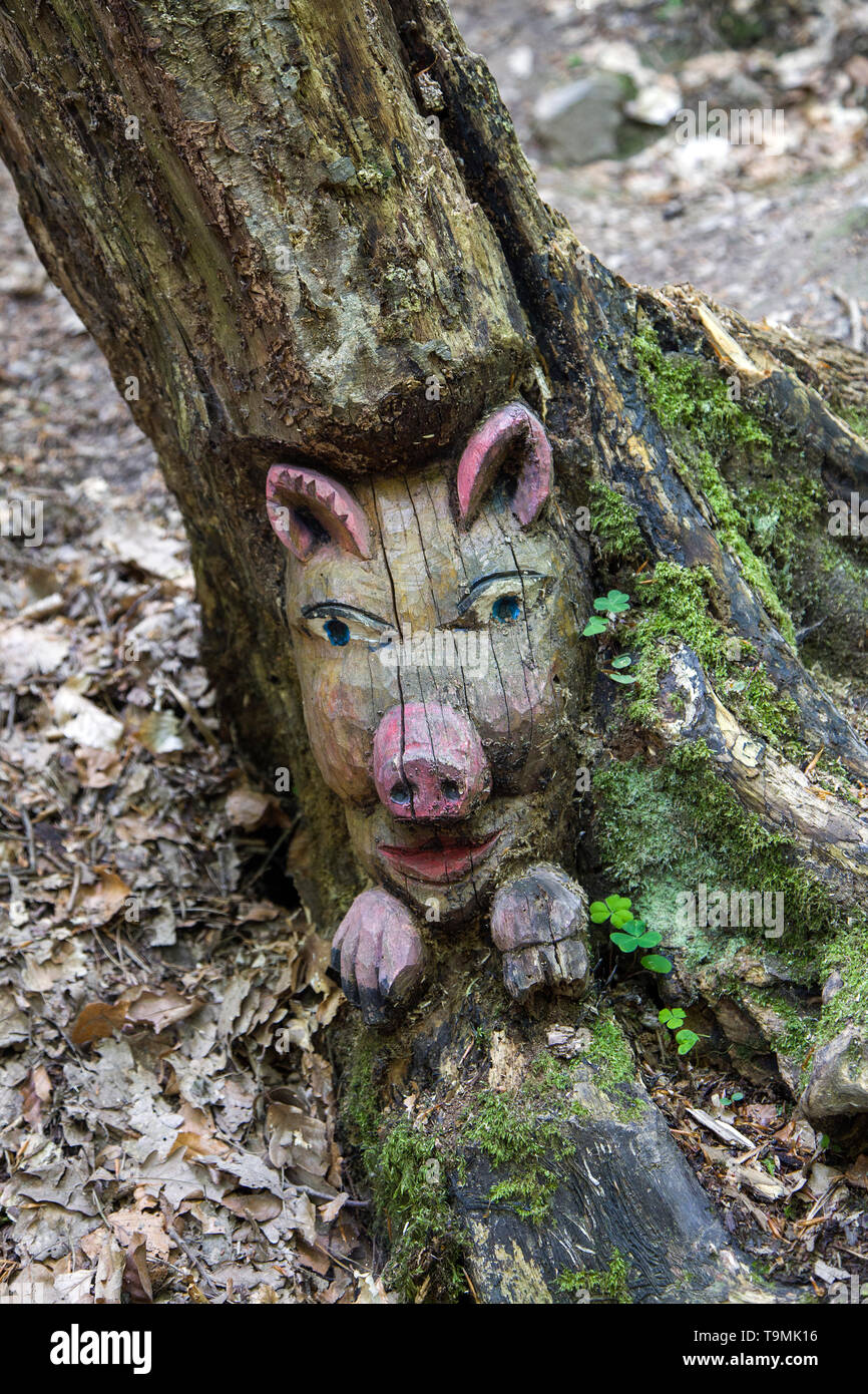 Carved face of a pig in a tree stump, Steckeschlääfer-Klamm, Binger forest, Bingen on the Rhine, Rhineland-Palatinate, Germany Stock Photo