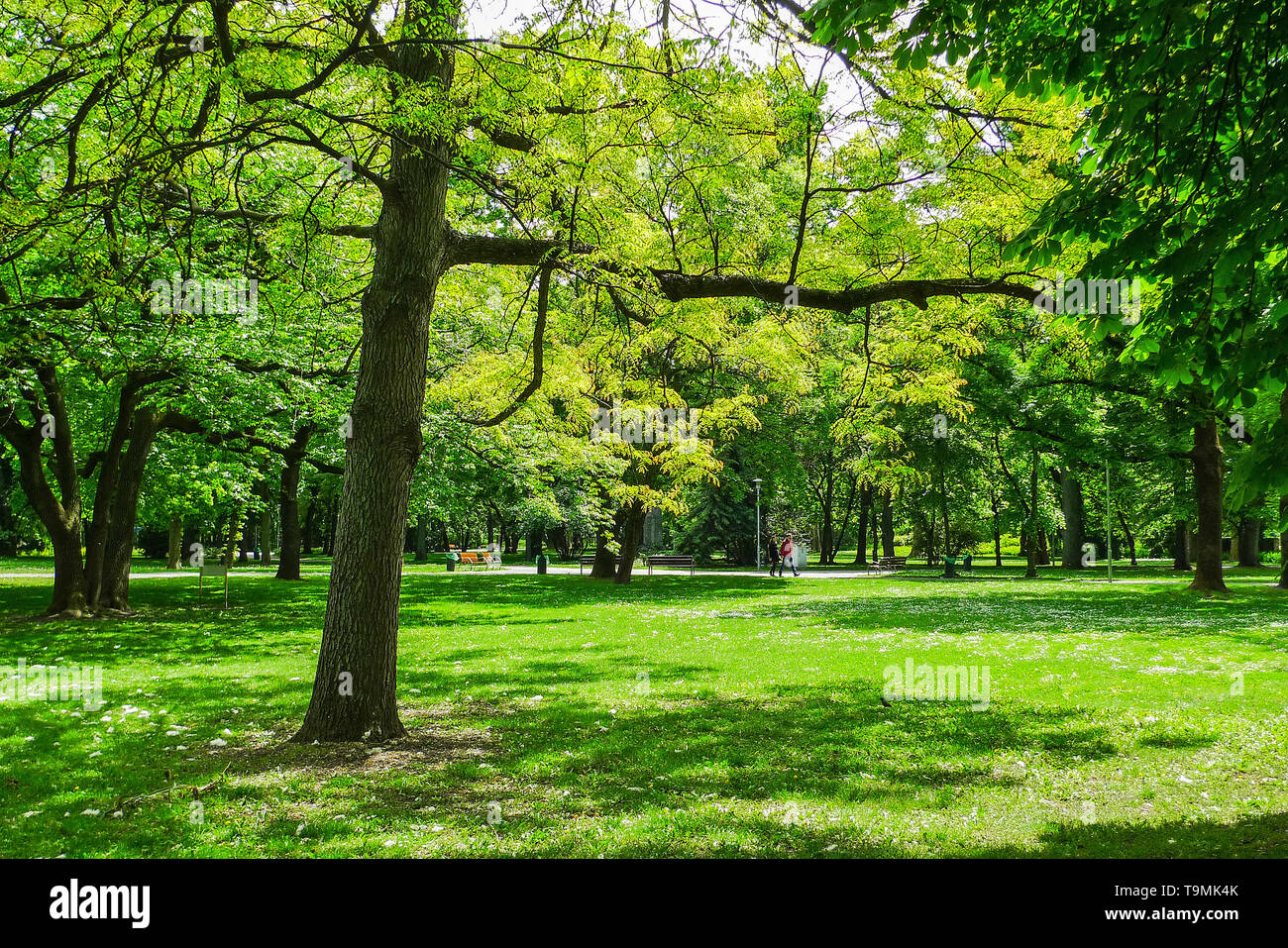 Park on Margaret Island, Budapest Stock Photo - Alamy