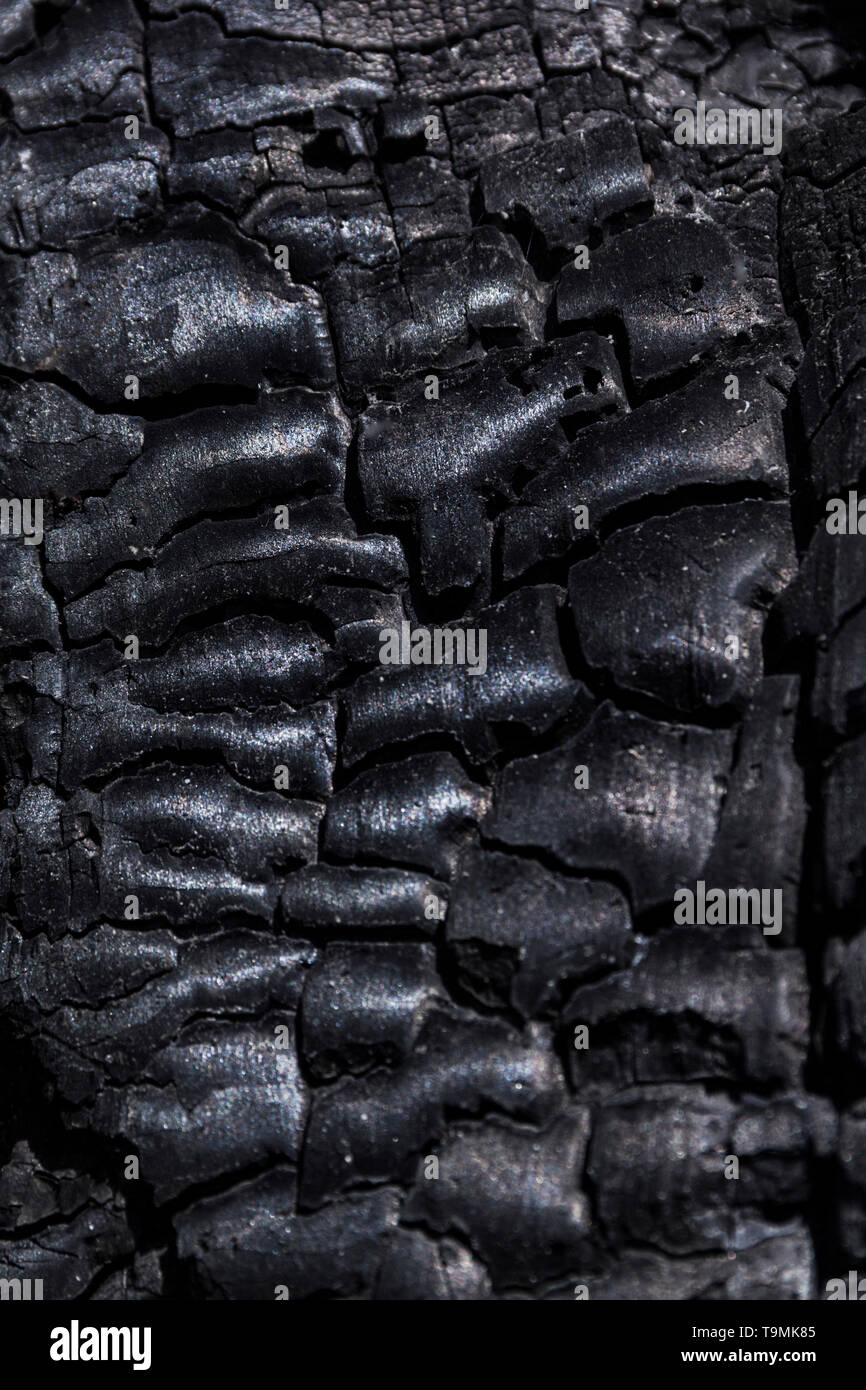 Details with patterned surface texture of burnt wood Stock Photo