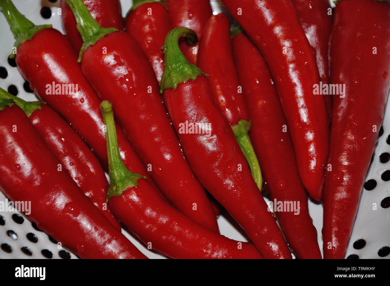Peppers Stock Photo