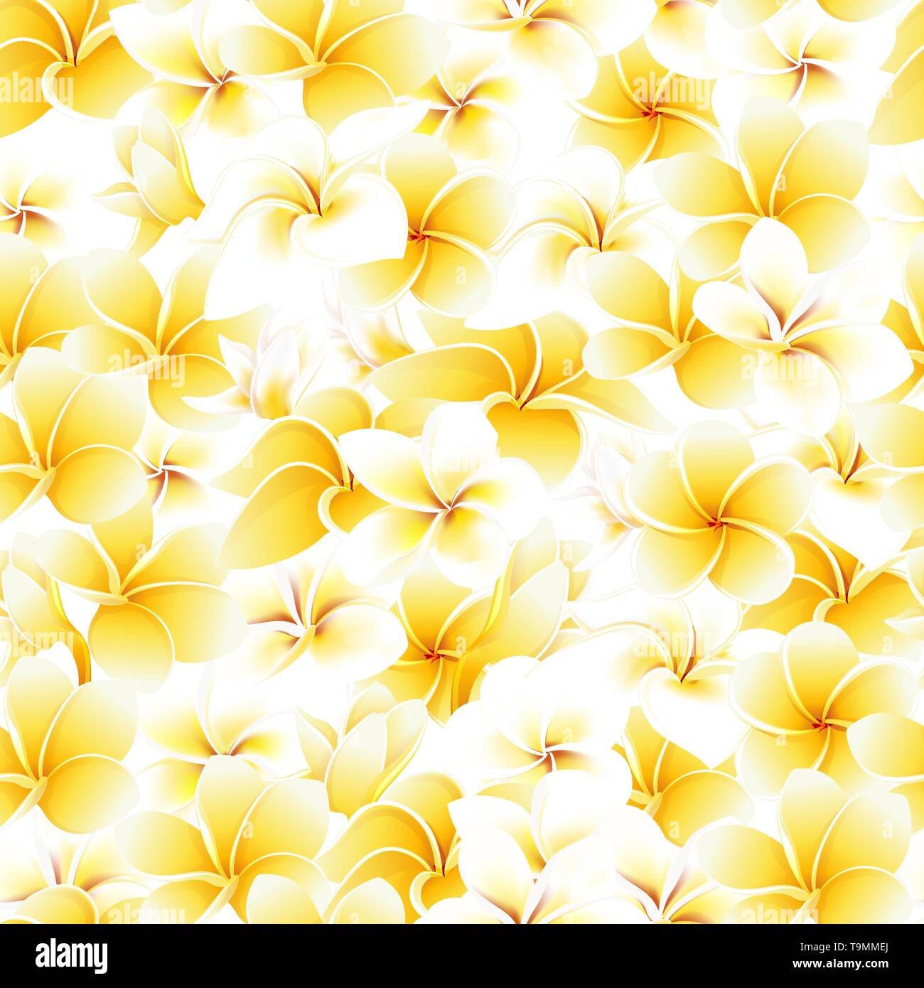 Seamless summer pattern frangipani plumeria tropical flowers vector background Stock Vector